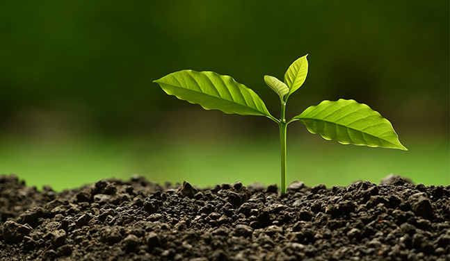 Ronsun İthalat ve İhracat A.Ş.